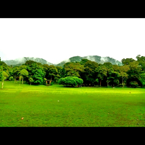 bedugul