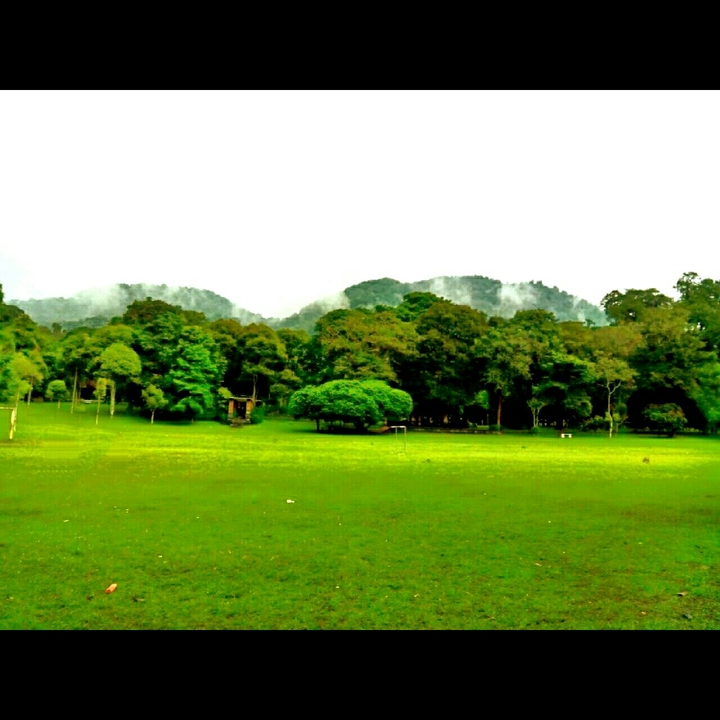 bedugul