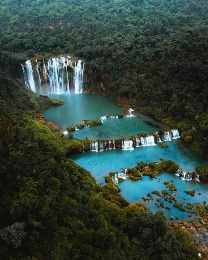 Natural world.....?