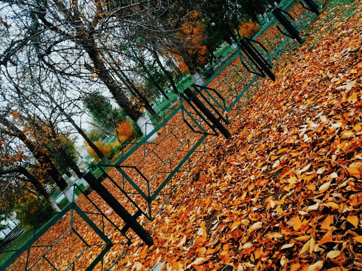 autumn