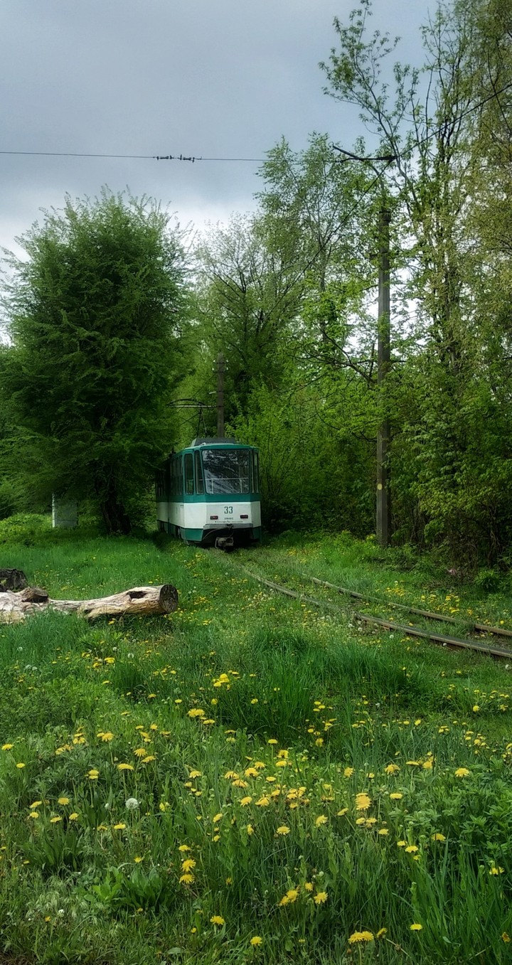 Житомир