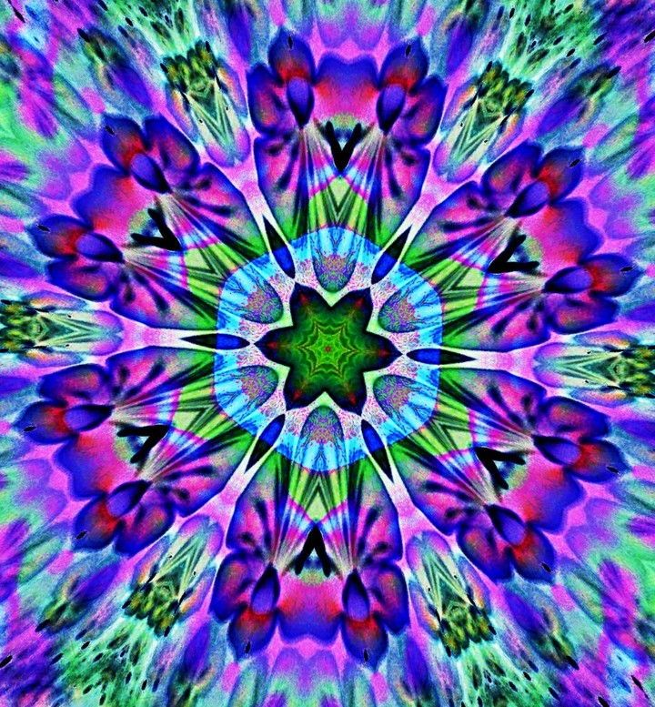 Kisses of flowers kaleidoscope