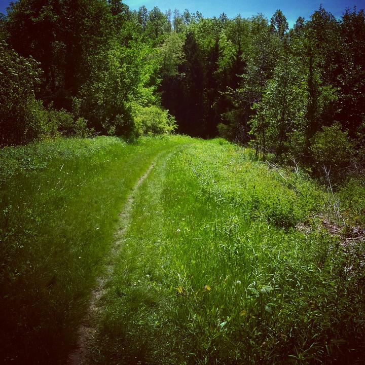 Trail at Rockcut