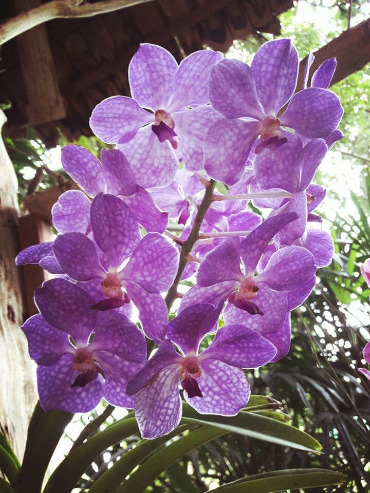 My Photography