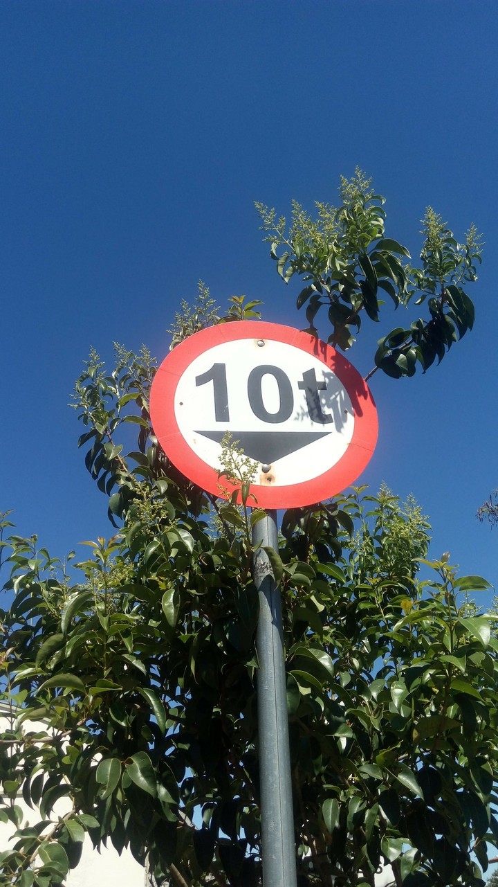 10t