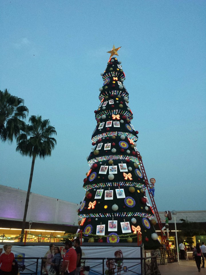 árbol de navidad