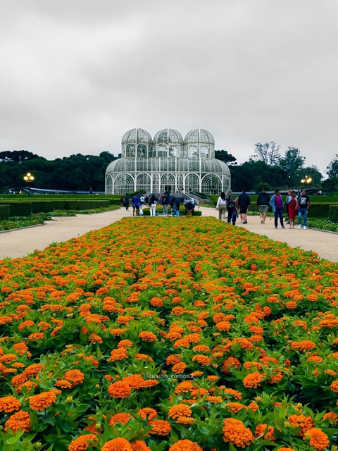 My Curitiba