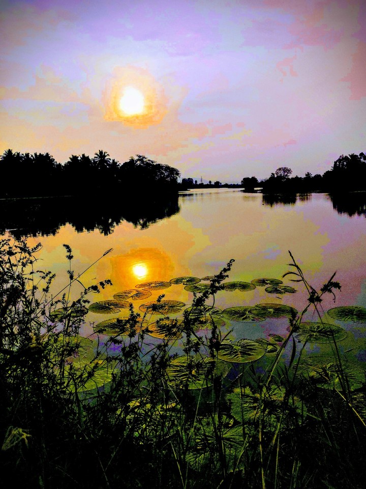 Lake view