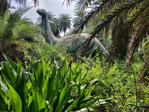 dinosaur