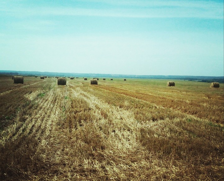 Україна безмежна