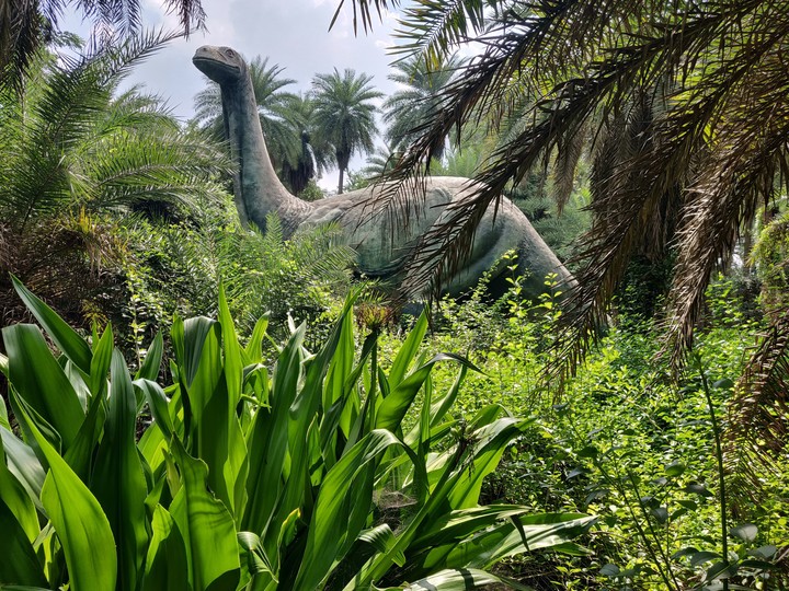 dinosaur