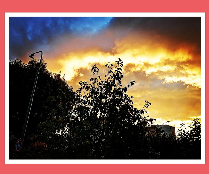 Se guardi gli occhi al cielo, puoi vedere sempre il meglio.