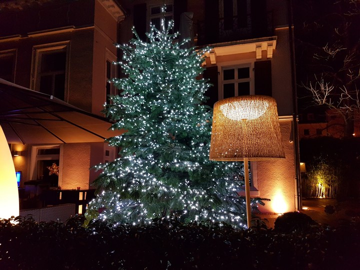 a tree