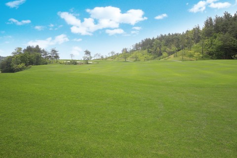 Golf Course