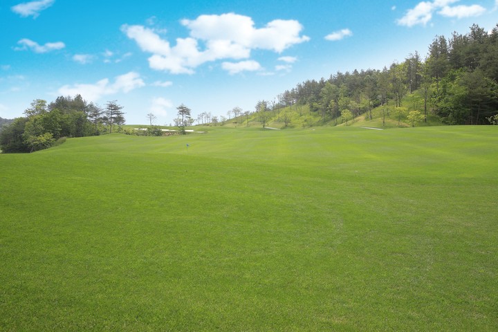 Golf Course
