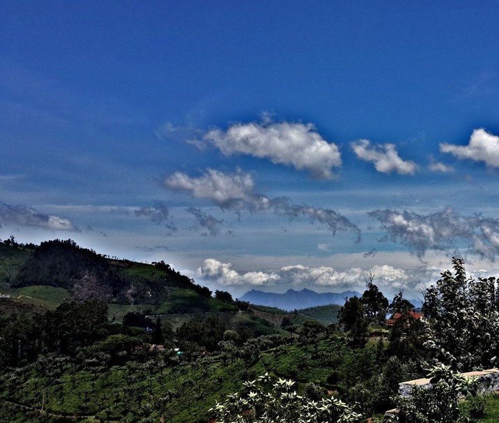 Hills of the Nilgiri range.