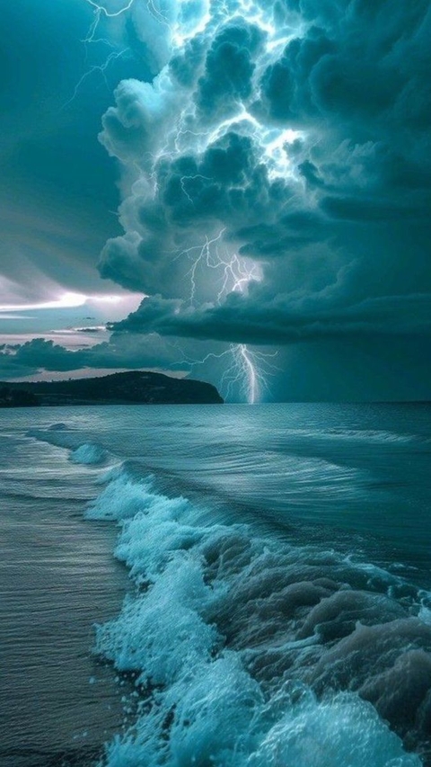 sfondi storm, forest