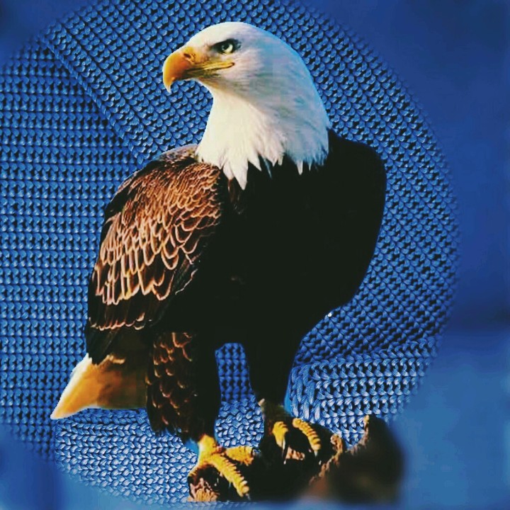 Fuerza