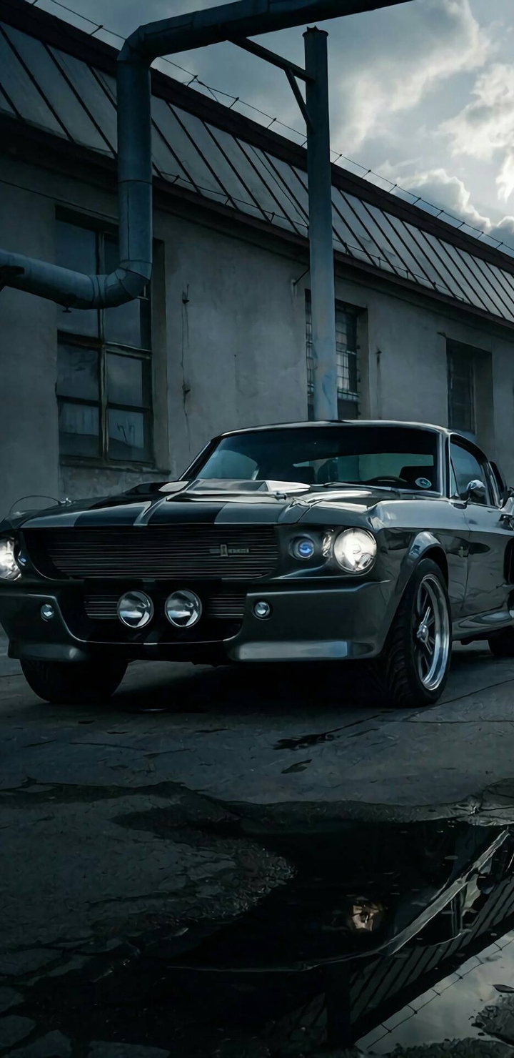 Mustang