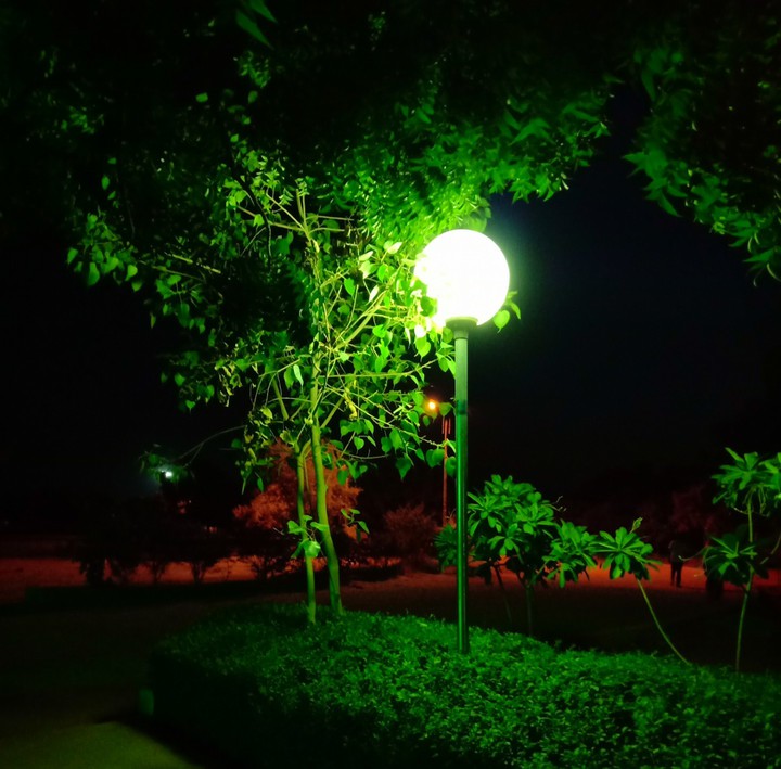 Early morning