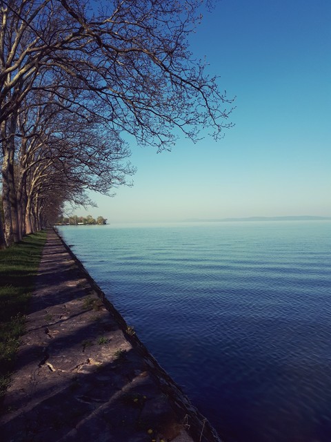 Balaton