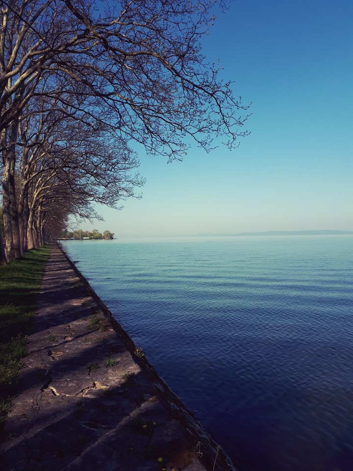 Balaton