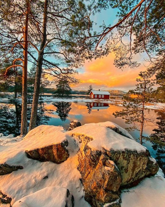 Red cabin on the lake - winter
