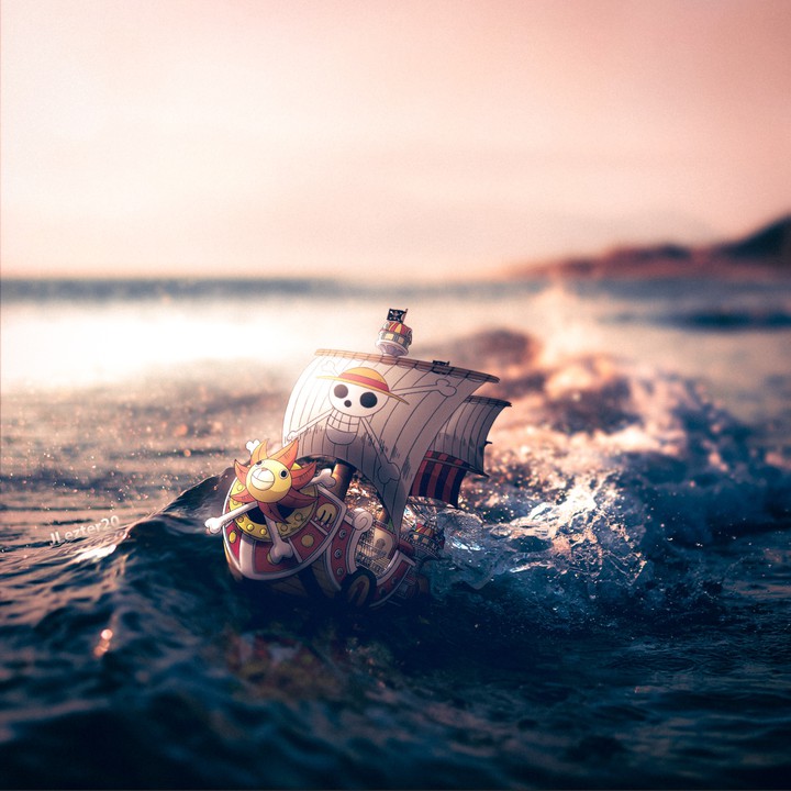 Thousand Sunny