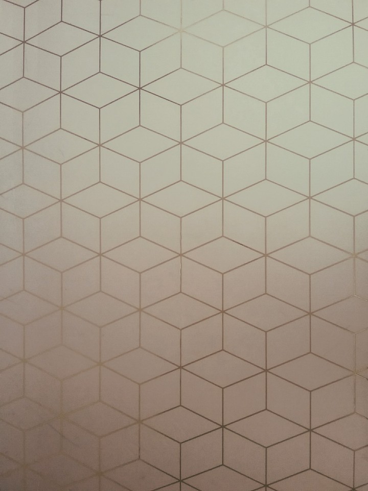 ◇◇◇