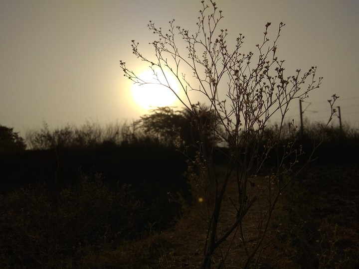 super nature 3