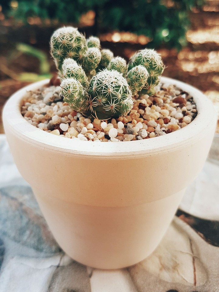 ♡♡