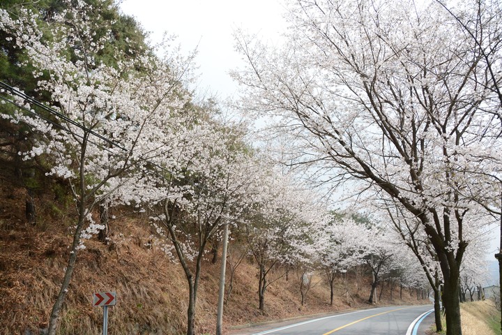 풍경이미지