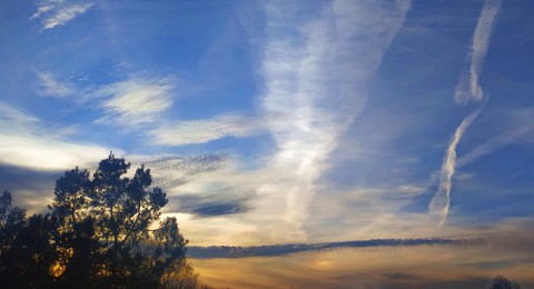 Sky