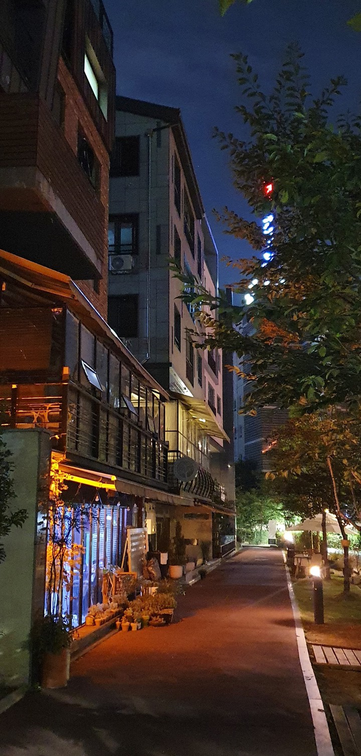 night view of cafe street