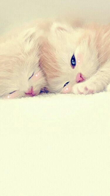 Cute