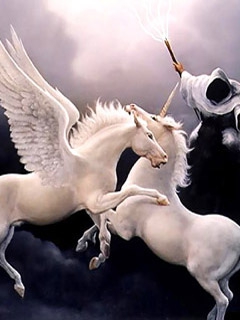 Horses