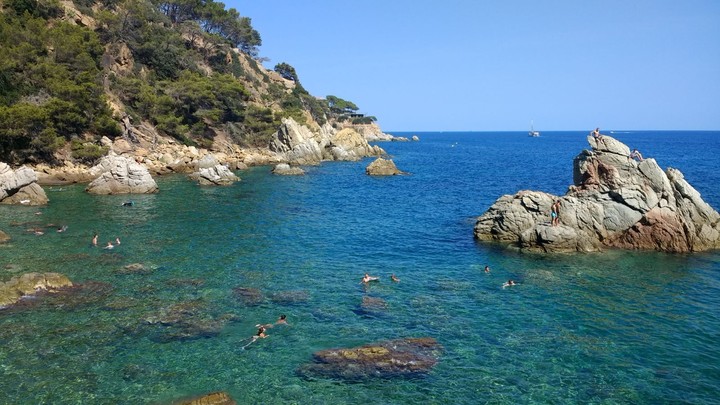 blue ocean