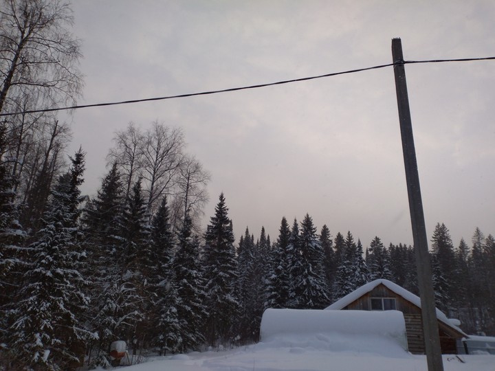 The beauty of nature