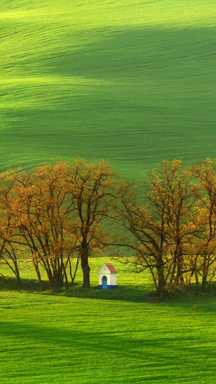 Field... and lonely house in this field