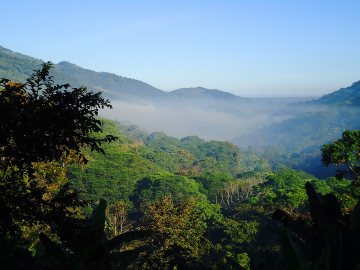 montañas en la niebla