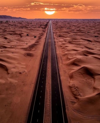 a road in the wilderness