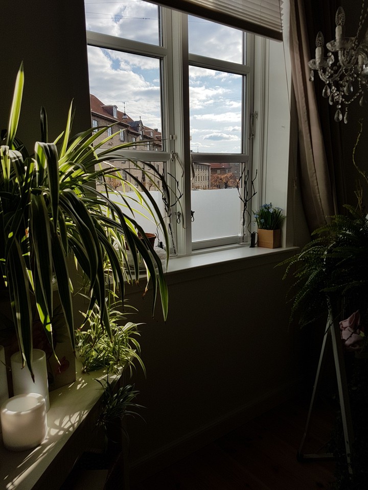 Spring is moving in