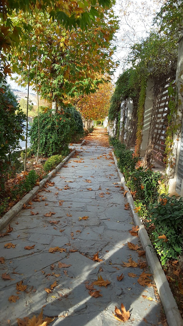 fall