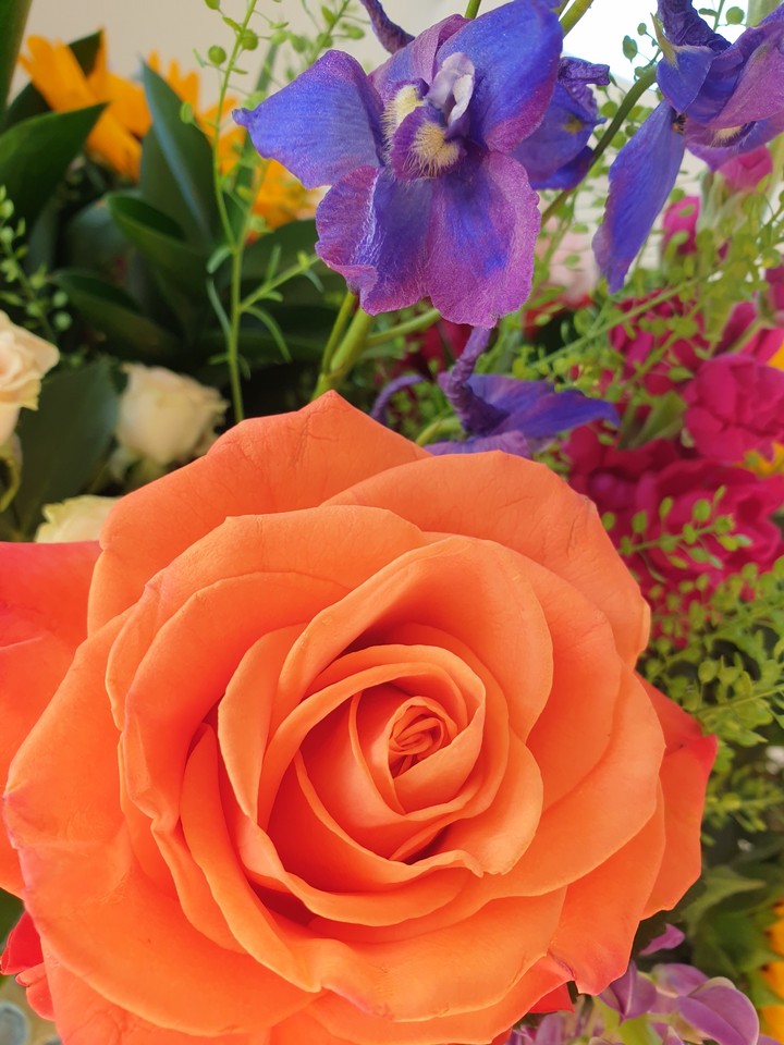 Rose & summer