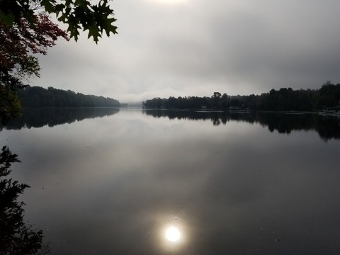 Dawn on the river !