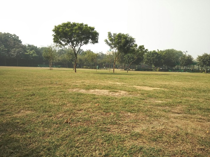 beautify Nature