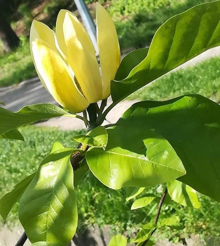 :)