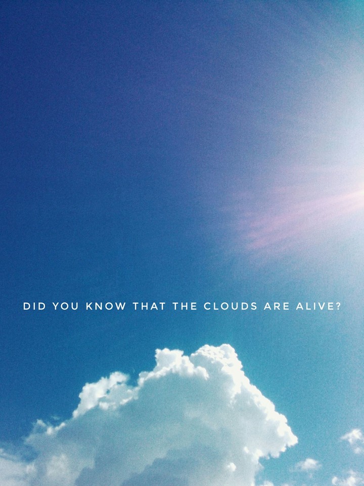 Did you know...?