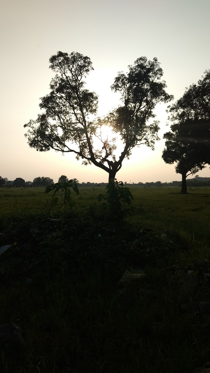 evening time
