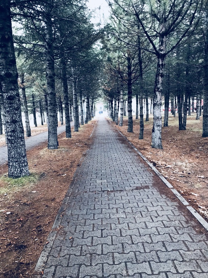 İPhone 7 Erü